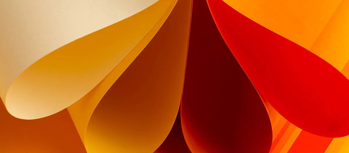 Top 10 Specialty Paper Companies Revolutionizing the Industry in 2024